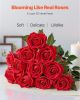 VEVOR Artificial Flowers, 60 pcs Real Looking Red Foam Fake Roses Bulk, Faux Red Bridal Shower with Stems for DIY Wedding Bouquets