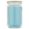 Garden Rain Single-Wick Large Glass Jar Candle, 20 oz