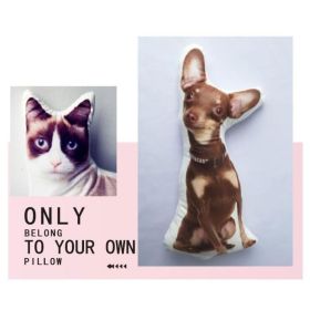 Customize Irregular Pillow Pet Pillow (Option: 60x60-Two sides)